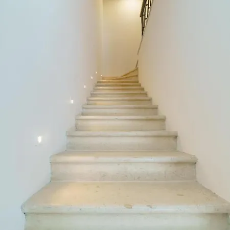 Dalmat Blue * 스플리트