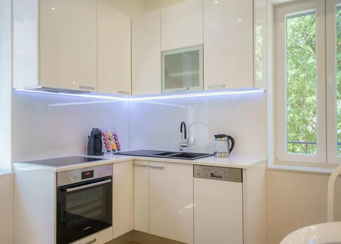 Dalmat Blue * 스플리트